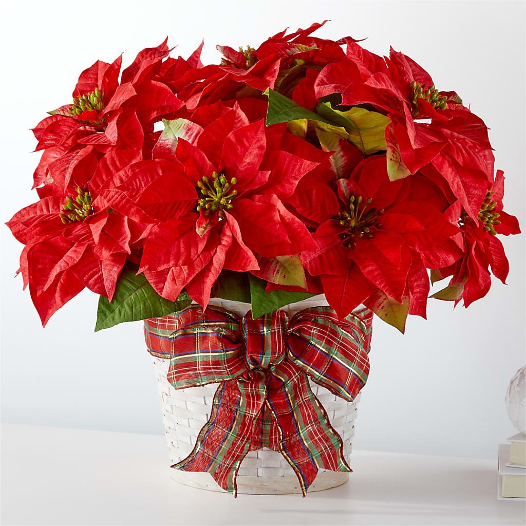 Happiest Holidays Poinsettia – Jazmin Flowers, Chicago IL
