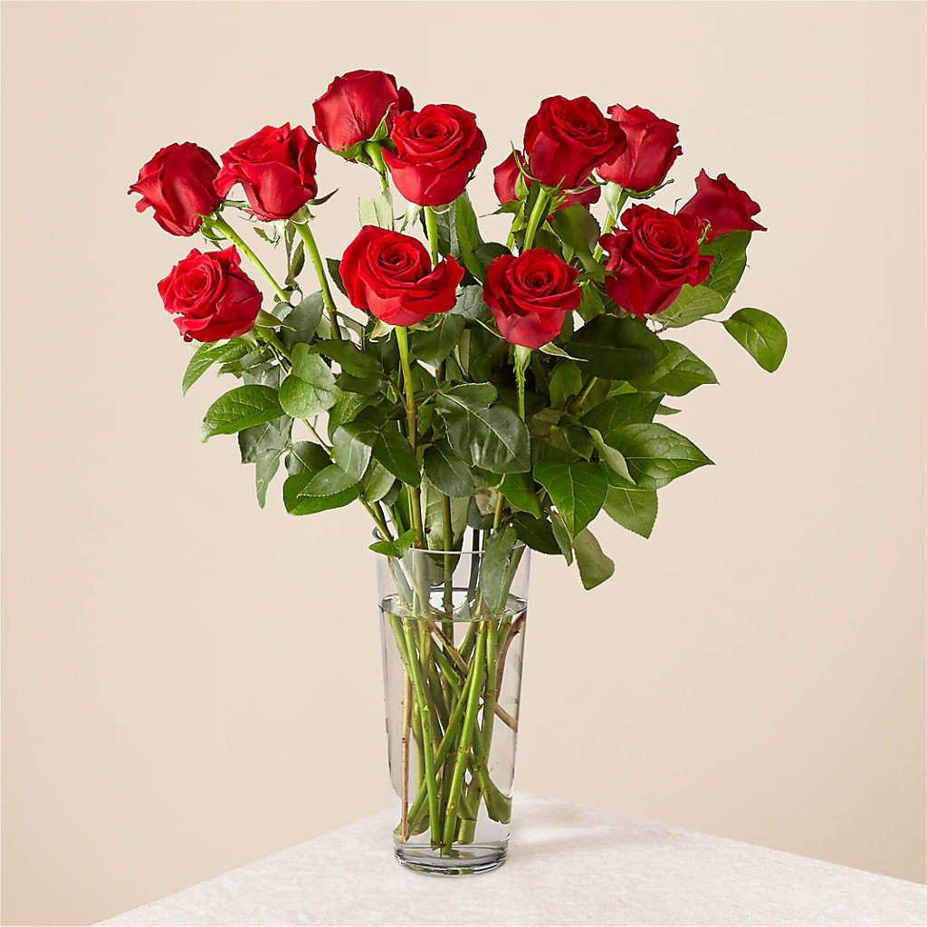 Long Stem Red Rose Bouquet – Jazmin Flowers, Chicago IL