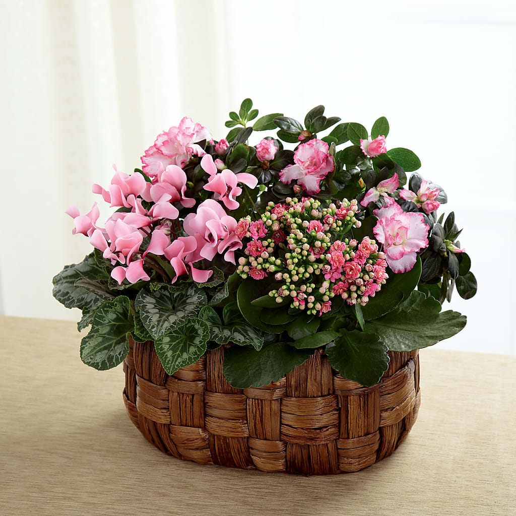 Pink Assortment – Jazmin Flowers, Chicago IL