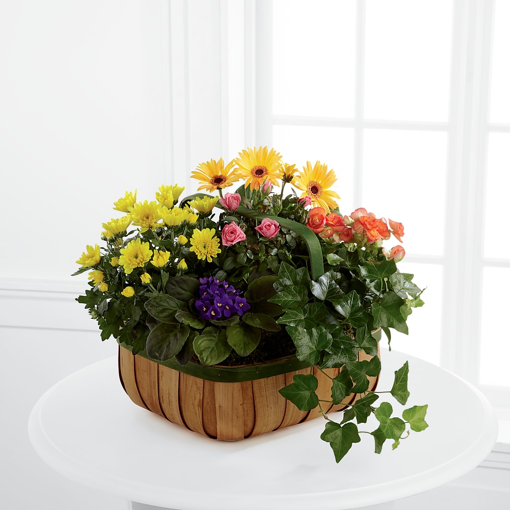 Gentle Blossoms Basket – Jazmin Flowers, Chicago IL