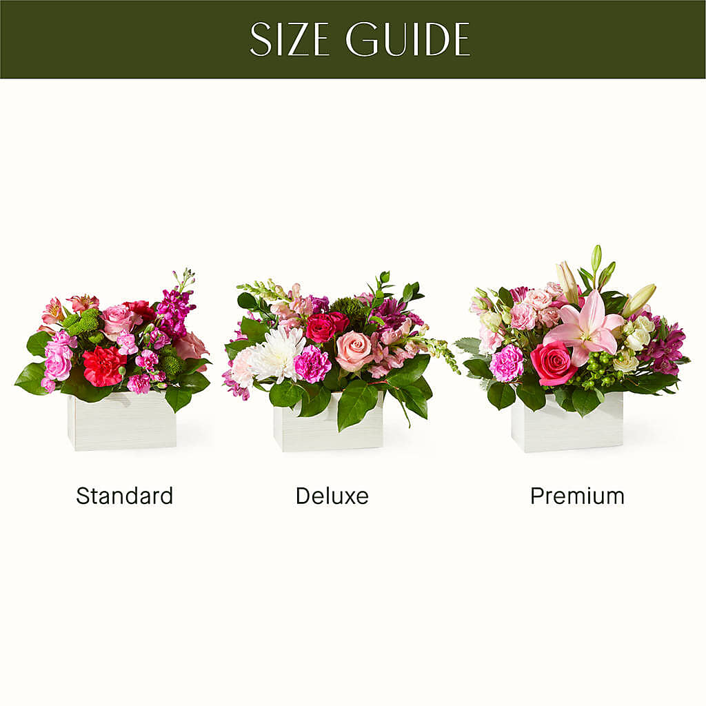 Sweetberry Box – A Florist Original – Jazmin Flowers, Chicago IL