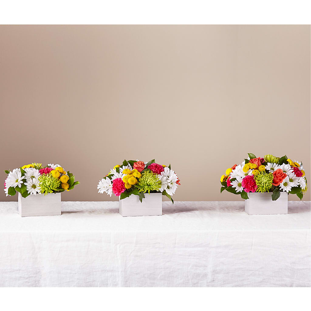 Sorbet Bouquet – Jazmin Flowers, Chicago IL