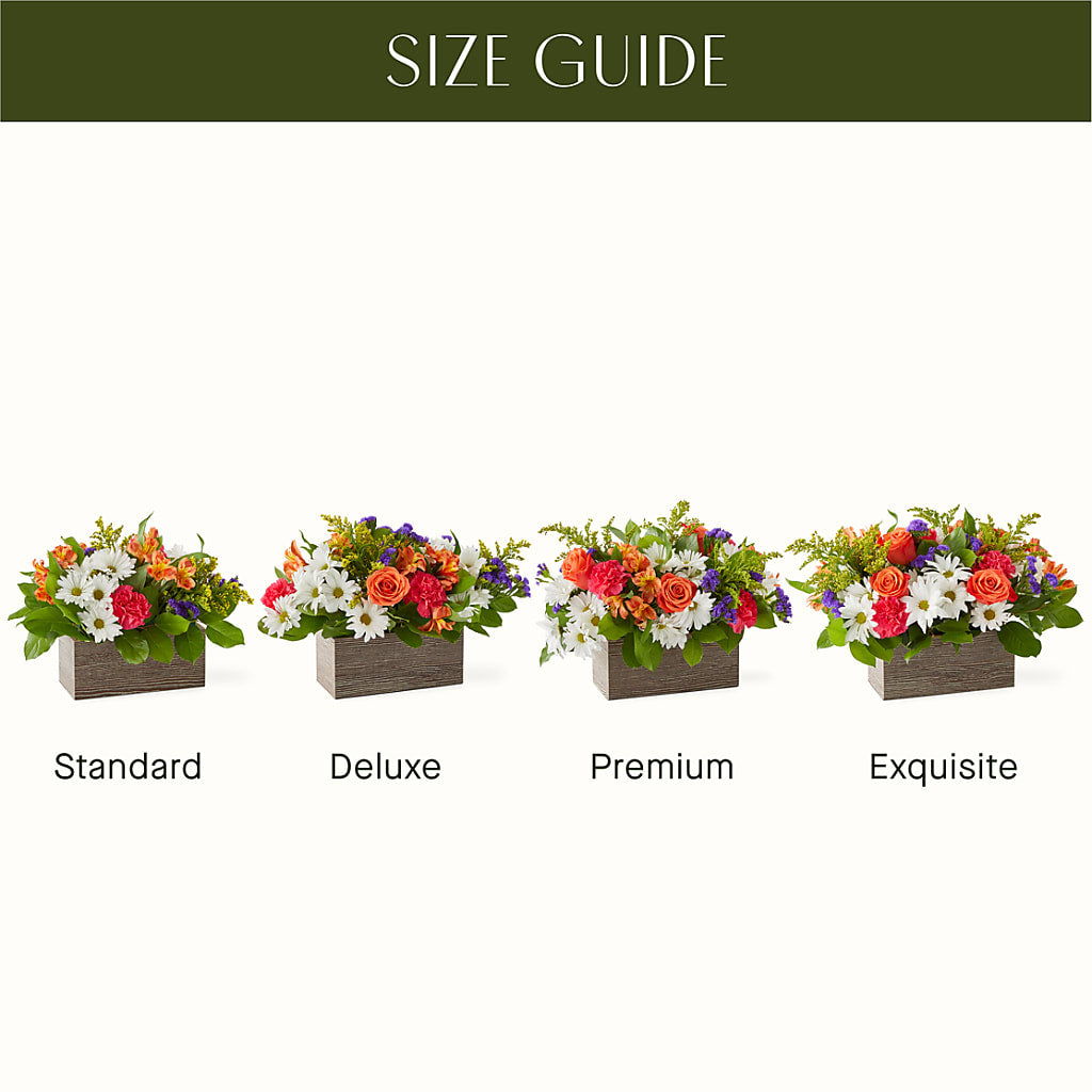 Oopsie Daisy Box Bouquet – Jazmin Flowers, Chicago IL