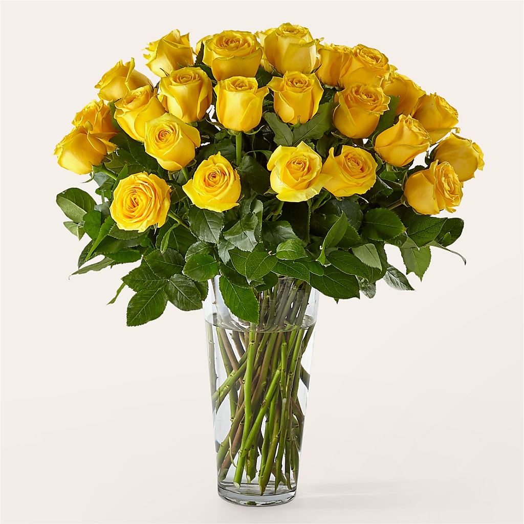 Long Stem Yellow Rose Bouquet – Jazmin Flowers, Chicago IL
