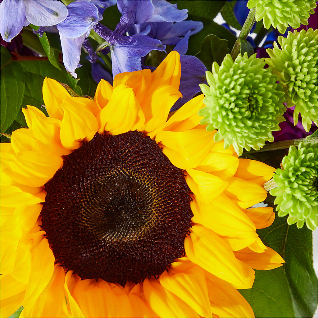 Catching Rays Bouquet – Jazmin Flowers, Chicago IL