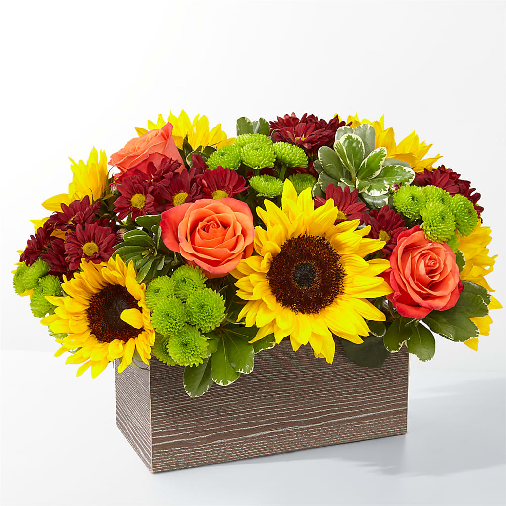 Happy Harvest Garden – Jazmin Flowers, Chicago IL