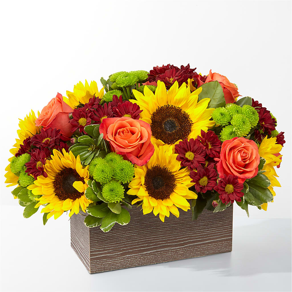 Happy Harvest Garden – Jazmin Flowers, Chicago IL
