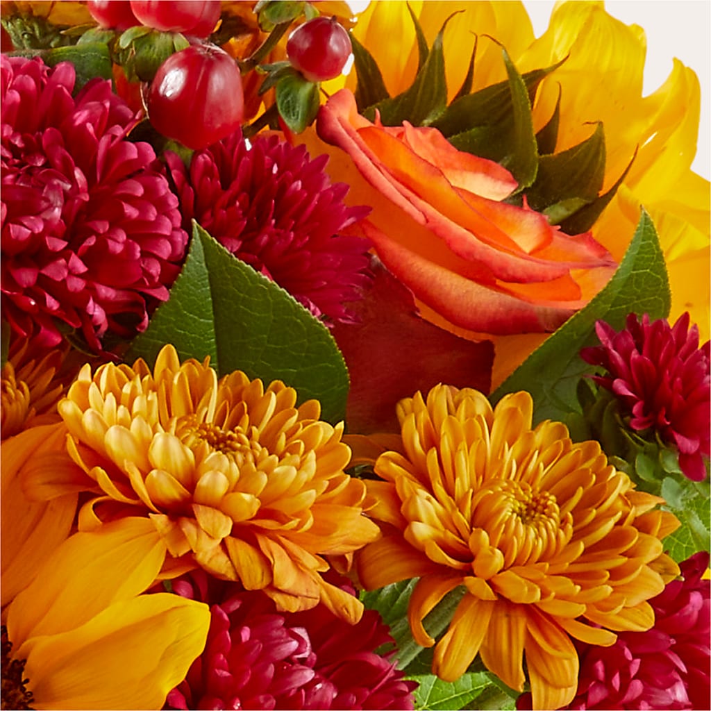 Sweater Season - A Florist Original – Jazmin Flowers, Chicago IL