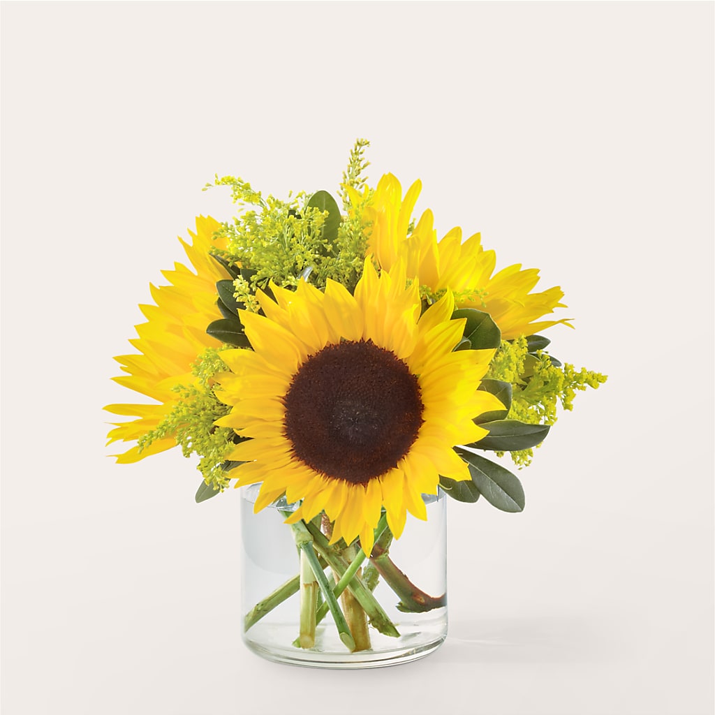 Beaming Sunflower Bouquet – Jazmin Flowers, Chicago IL