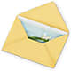 Greeting Card – Jazmin Flowers, Chicago IL