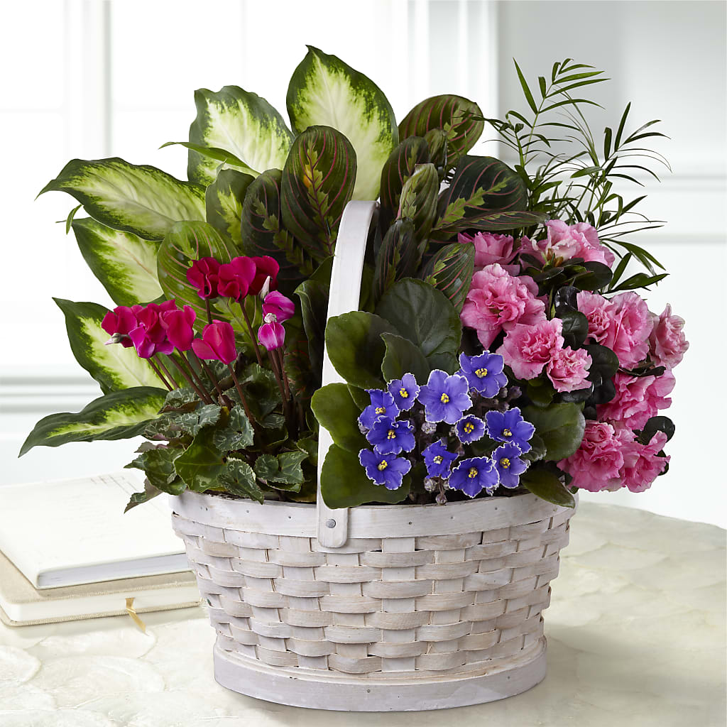 Peaceful Garden Planter – Jazmin Flowers, Chicago IL