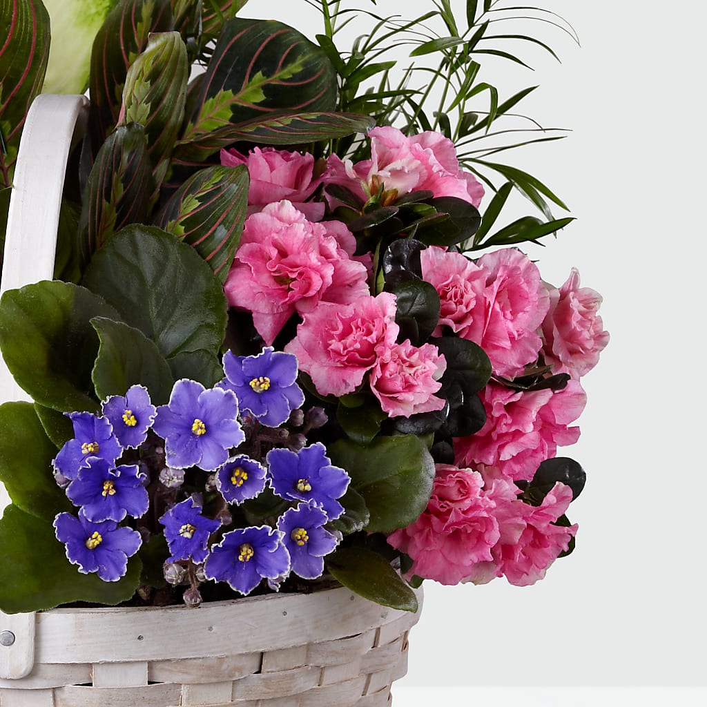 Peaceful Garden Planter – Jazmin Flowers, Chicago IL