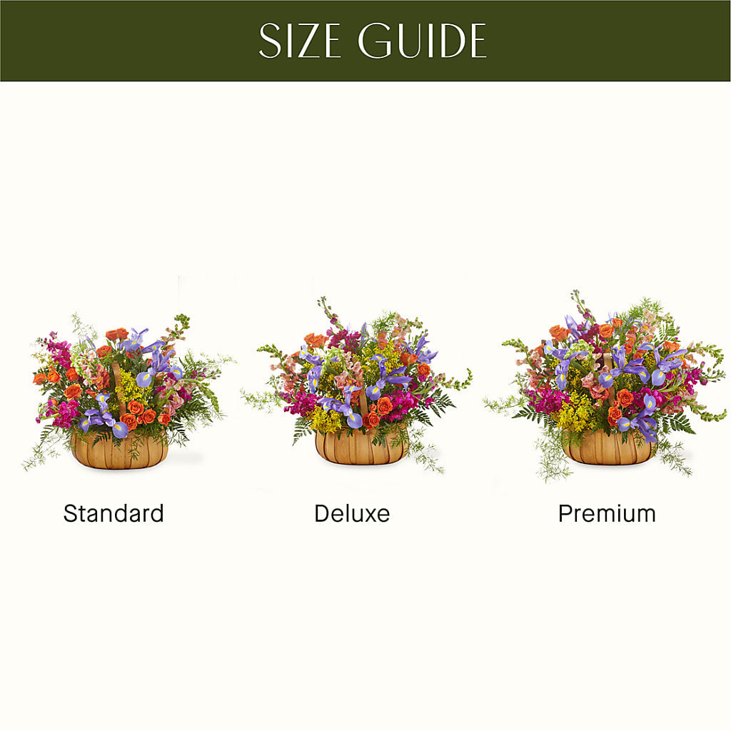 Garden of Life Basket – Jazmin Flowers, Chicago IL