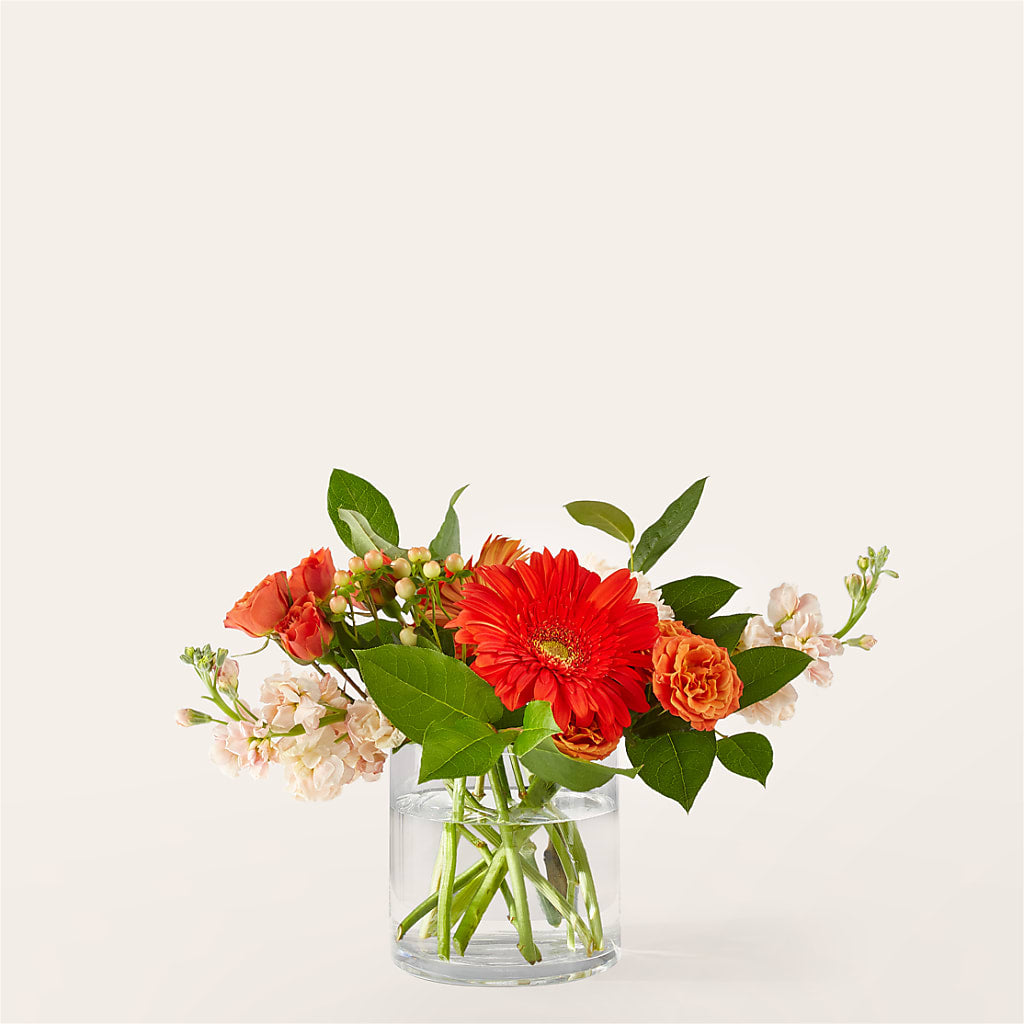 Paloma Please Bouquet – Jazmin Flowers, Chicago IL