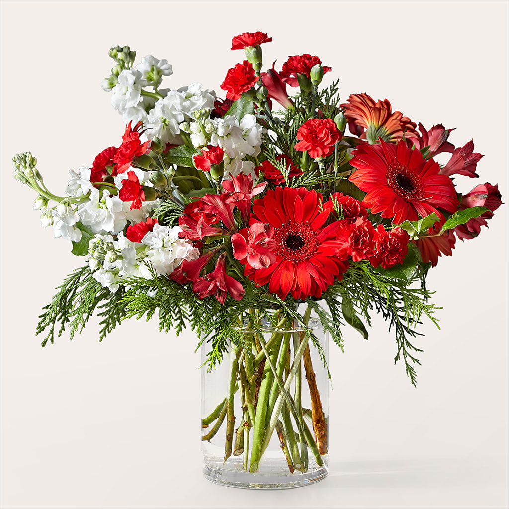 Holidaisy Bouquet – Jazmin Flowers, Chicago IL