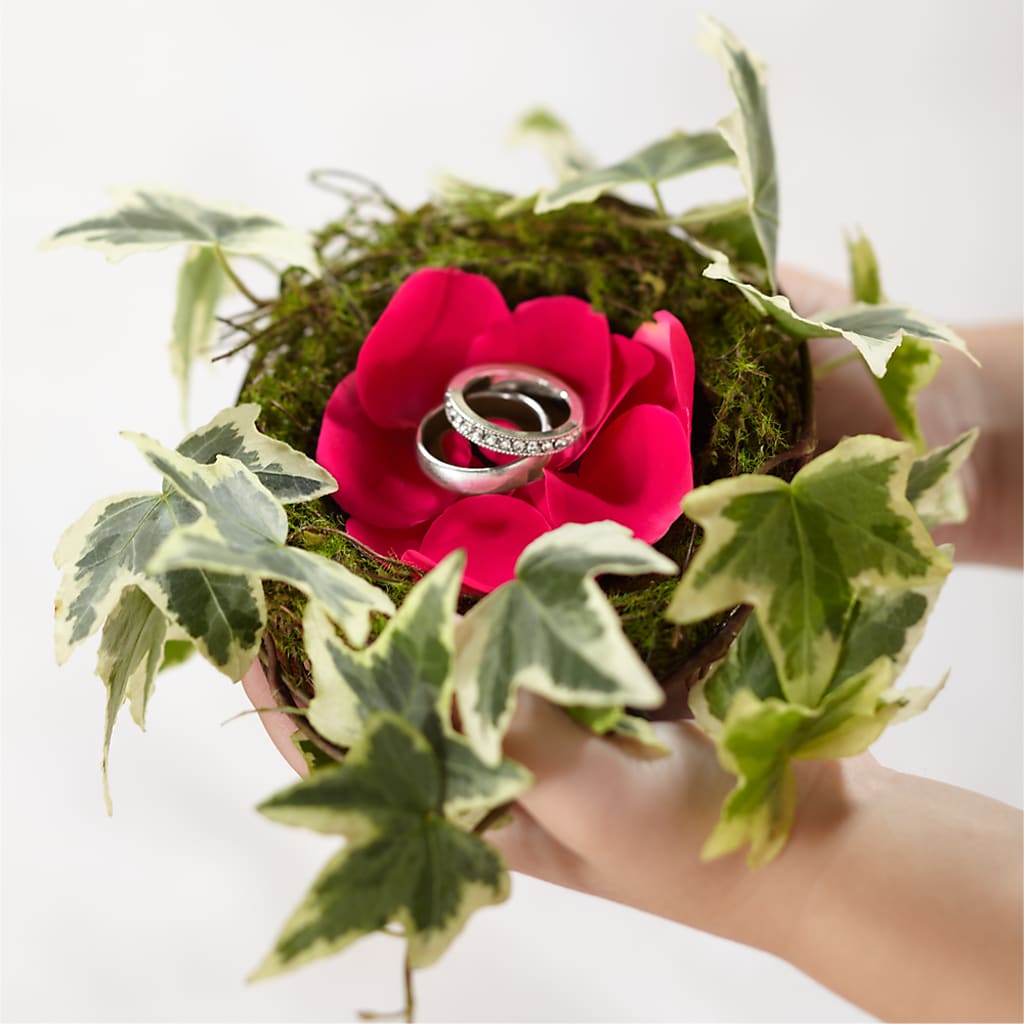 Lila Rose Ring Nest – Jazmin Flowers, Chicago IL