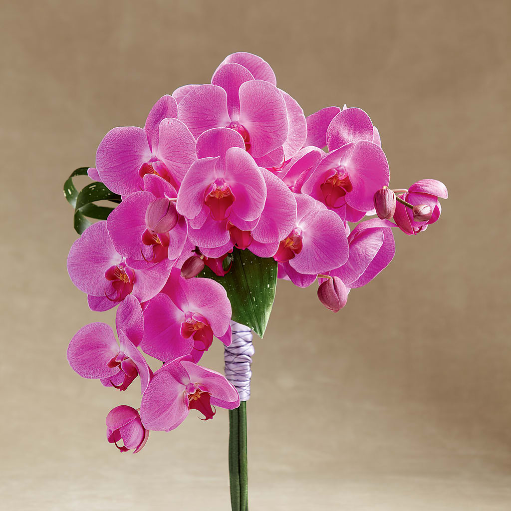 Glorious Bouquet – Jazmin Flowers, Chicago IL