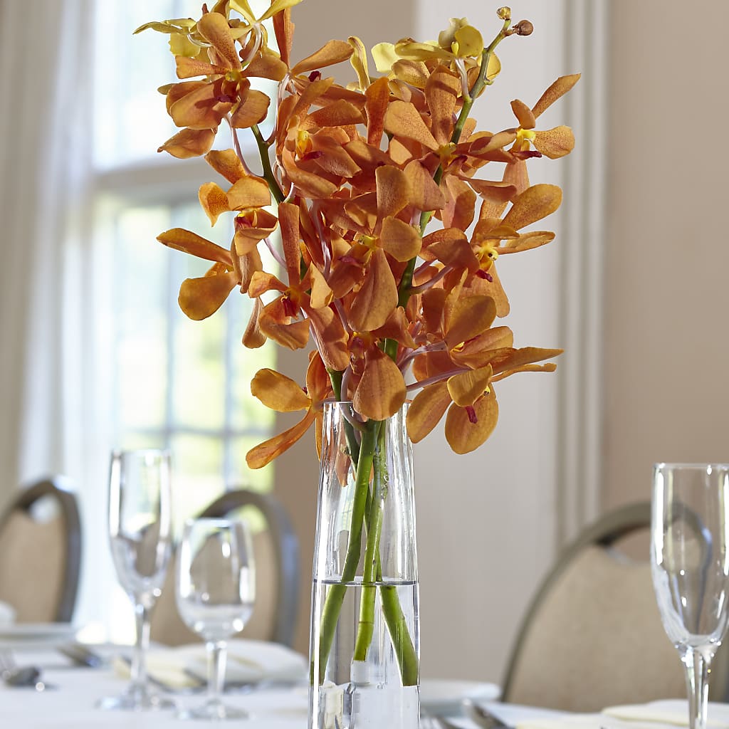 Orange Mokara Bud Vase – Jazmin Flowers, Chicago IL