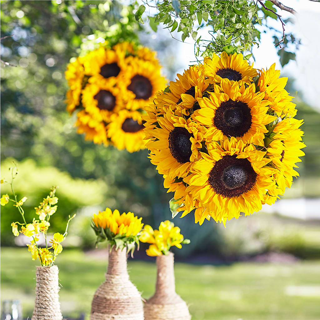 Sublime Garden Hanging Arrangement – Jazmin Flowers, Chicago IL
