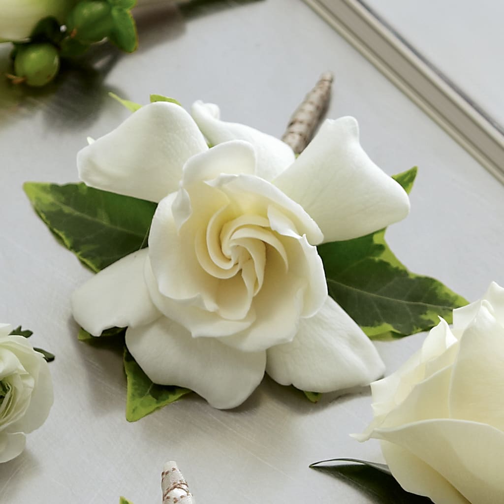 Gardenia Boutonniere – Jazmin Flowers, Chicago IL