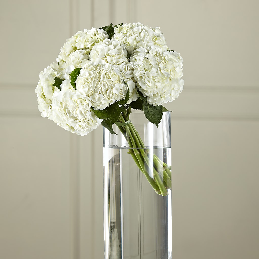 White Hydrangea Hand-Tied Bouquet – Jazmin Flowers, Chicago IL