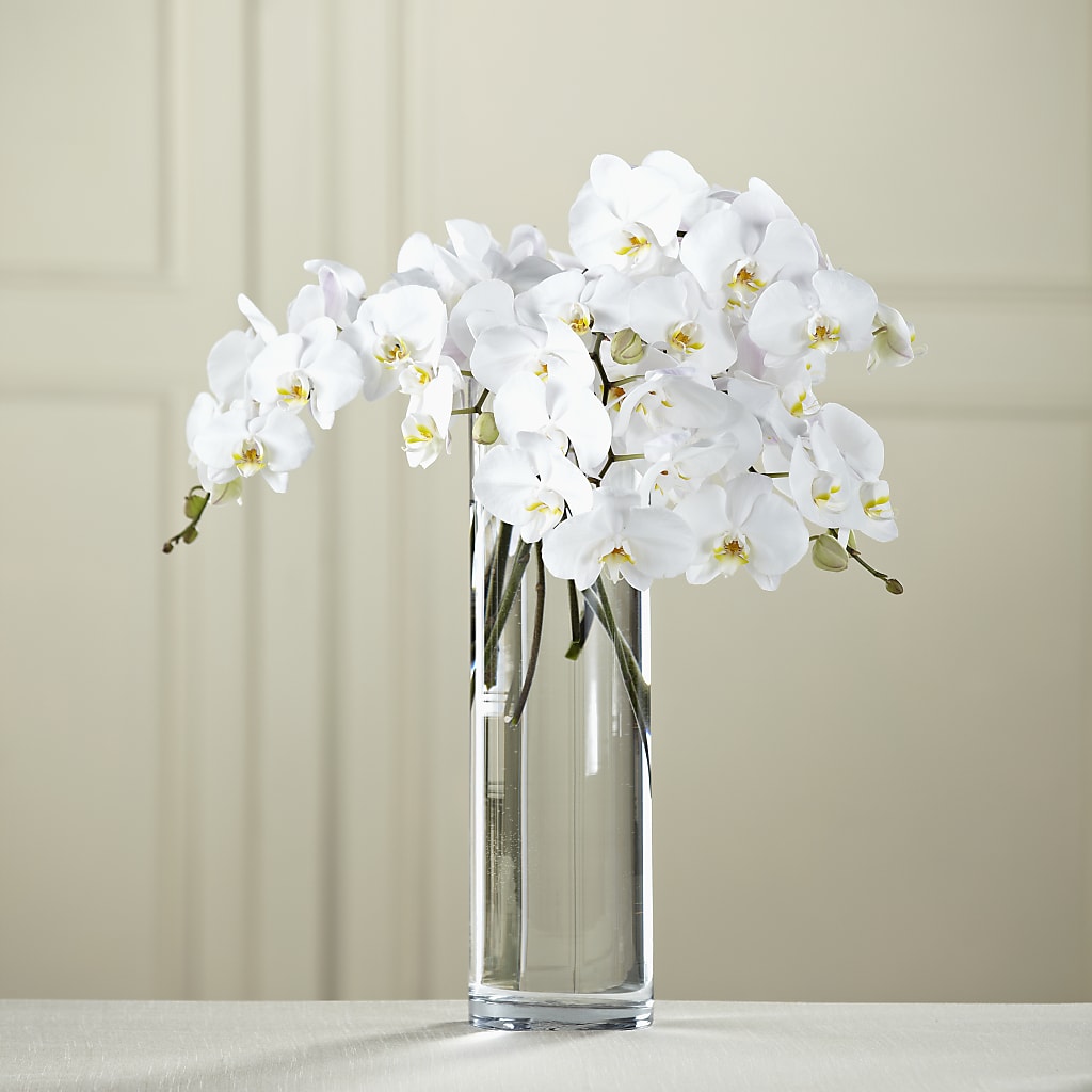 White Phalaenopsis Bouquet – Jazmin Flowers, Chicago IL