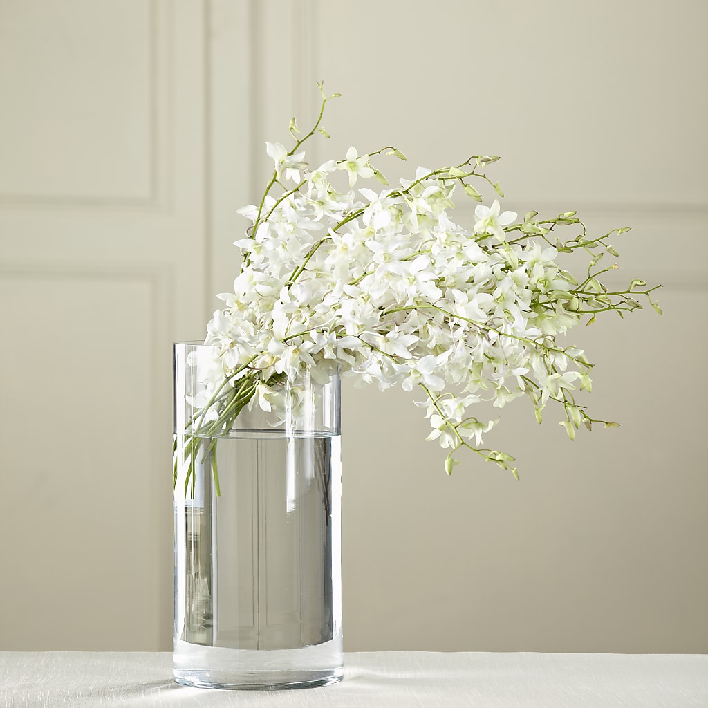 White Dendrobium Bouquet – Jazmin Flowers, Chicago IL