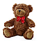 Adorable Plush Bear –  Jazmin Flowers, Chicago IL