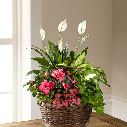 Dream in Pink Dishgarden –  Jazmin Flowers, Chicago IL