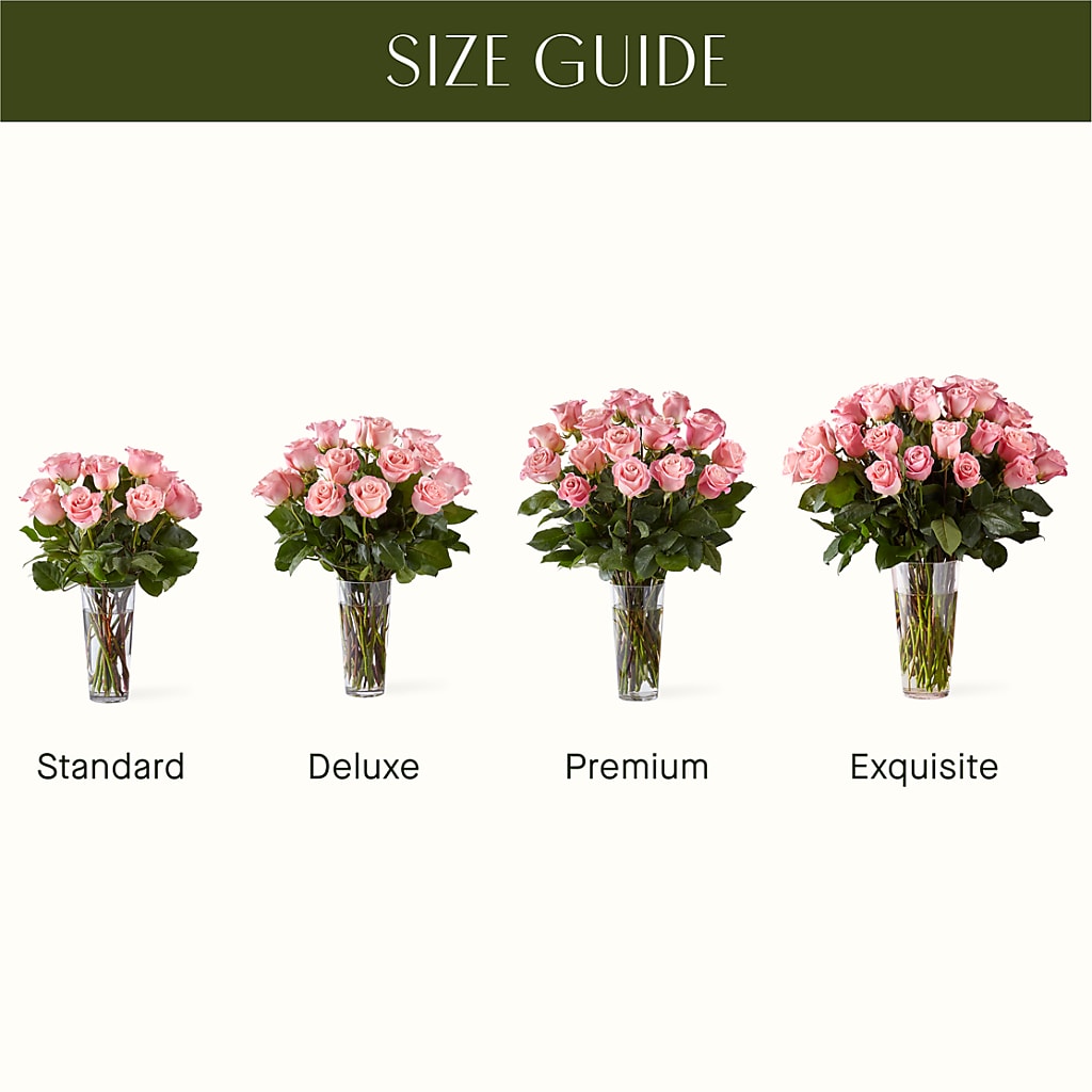Long Stem Pink Rose Bouquet –  Jazmin Flowers, Chicago IL