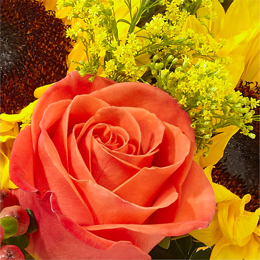 Pick of the Patch Pumpkin Bouquet –  Jazmin Flowers, Chicago IL