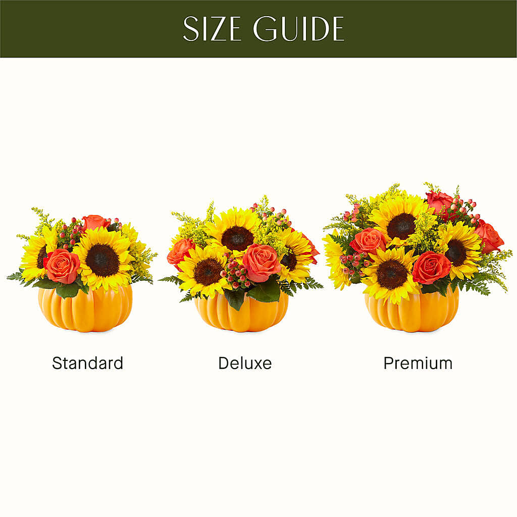 Pick of the Patch Pumpkin Bouquet –  Jazmin Flowers, Chicago IL