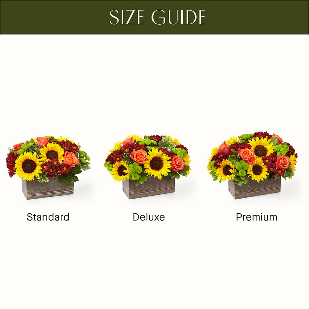 Happy Harvest Garden –  Jazmin Flowers, Chicago IL