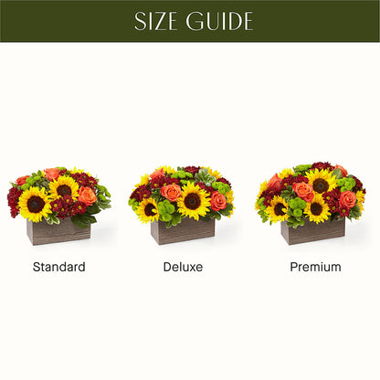 Happy Harvest Garden –  Jazmin Flowers, Chicago IL