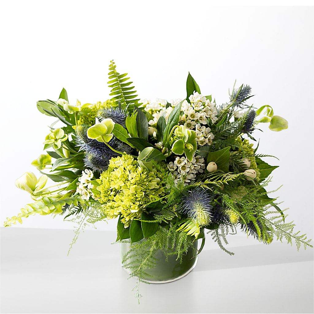 The Botanical Gardens –  Jazmin Flowers, Chicago IL