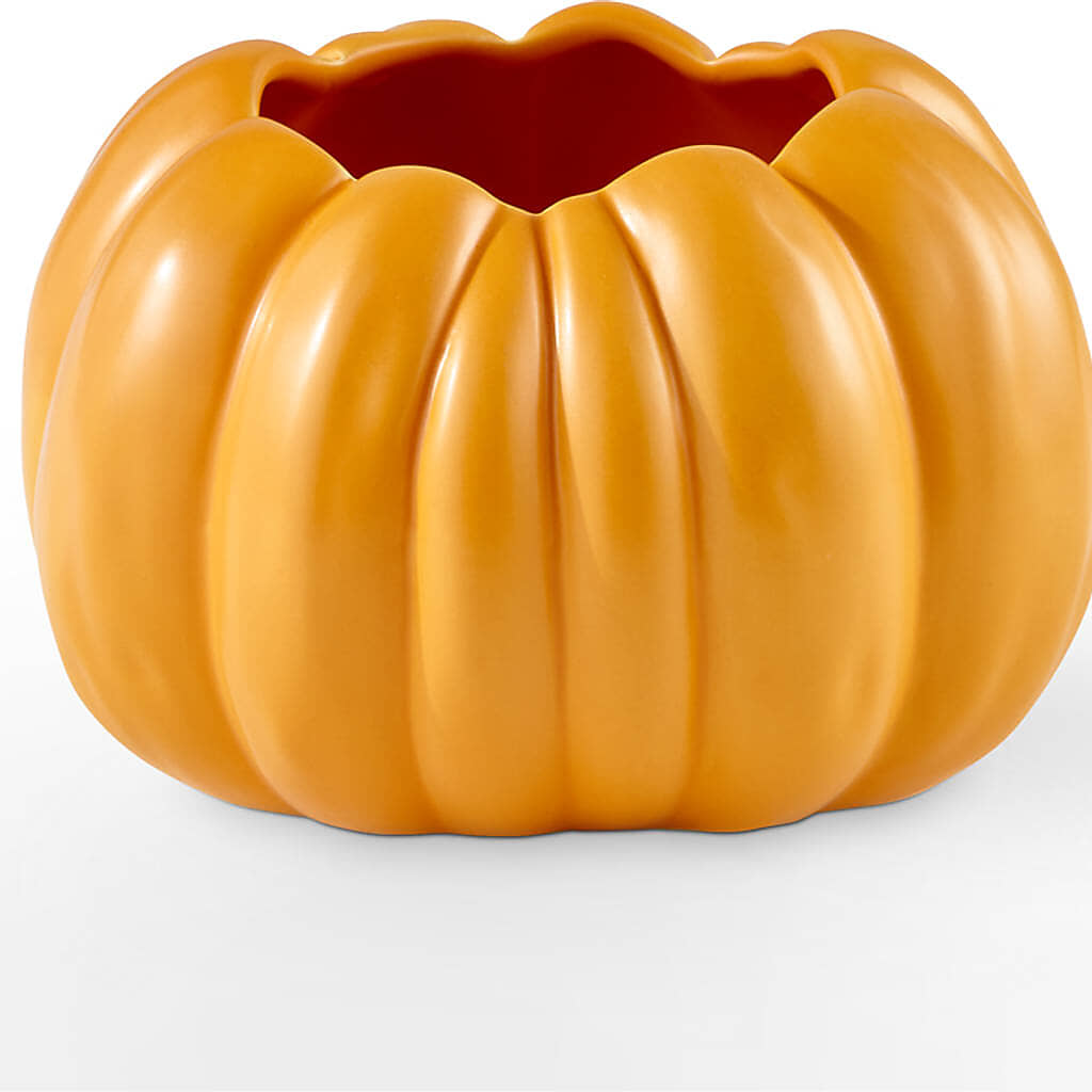 Golden Gourd Pumpkin Bouquet –  Jazmin Flowers, Chicago IL