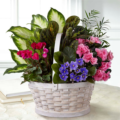 Peaceful Garden Planter –  Jazmin Flowers, Chicago IL