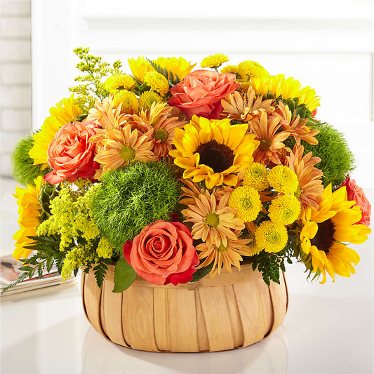 Harvest Sunflower Basket –  Jazmin Flowers, Chicago IL