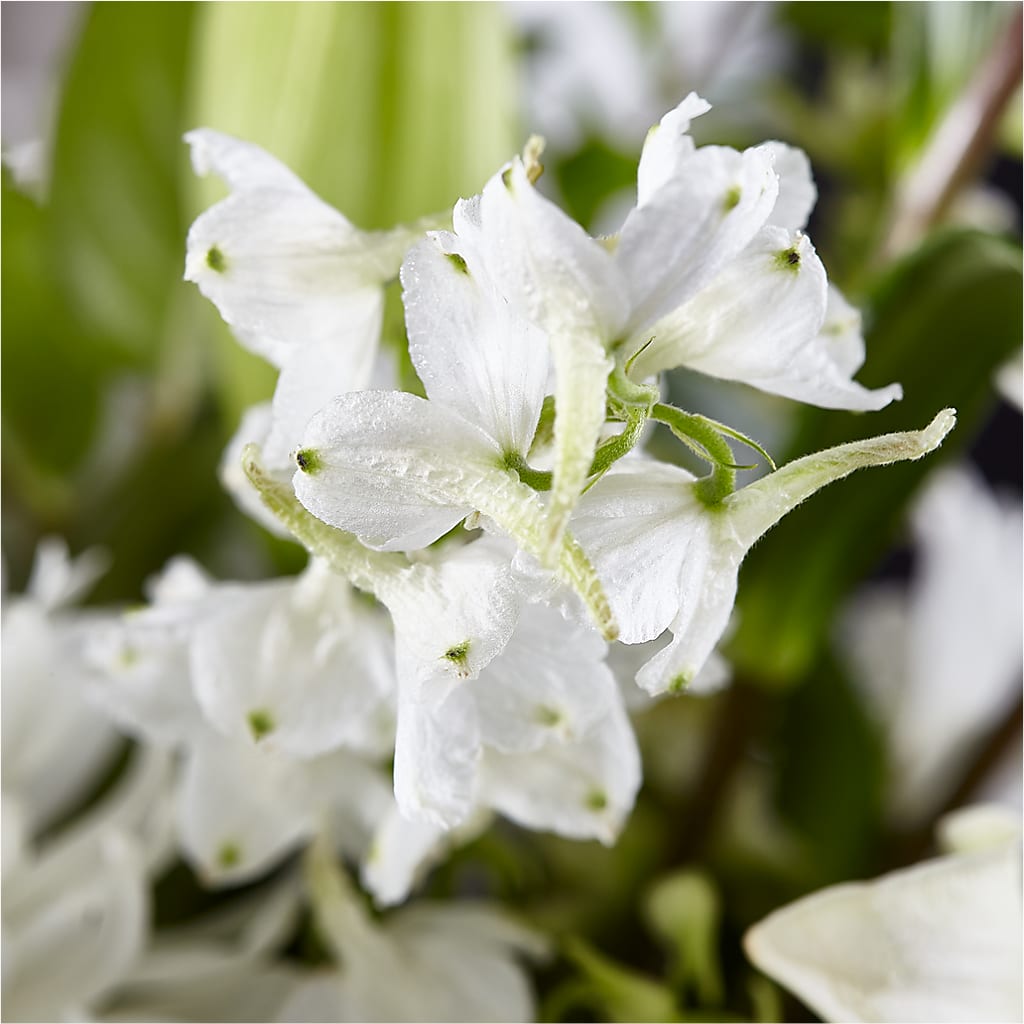 Classic Ivory – A Florist Original –  Jazmin Flowers, Chicago IL