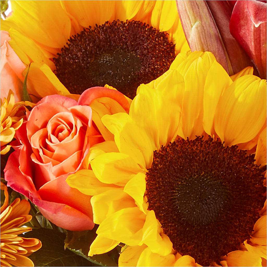Acorn Lane Bouquet –  Jazmin Flowers, Chicago IL