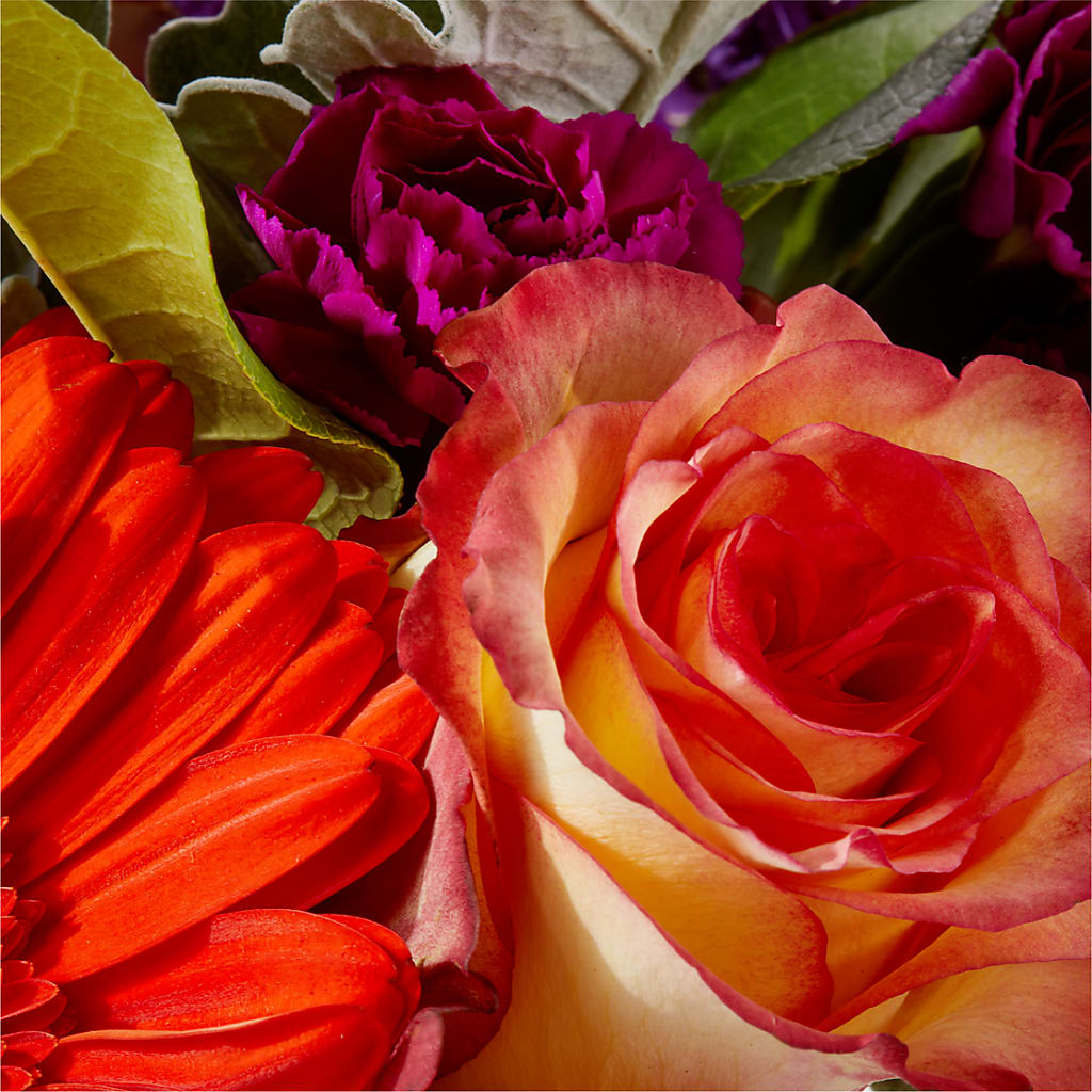 Sangria Bouquet –  Jazmin Flowers, Chicago IL