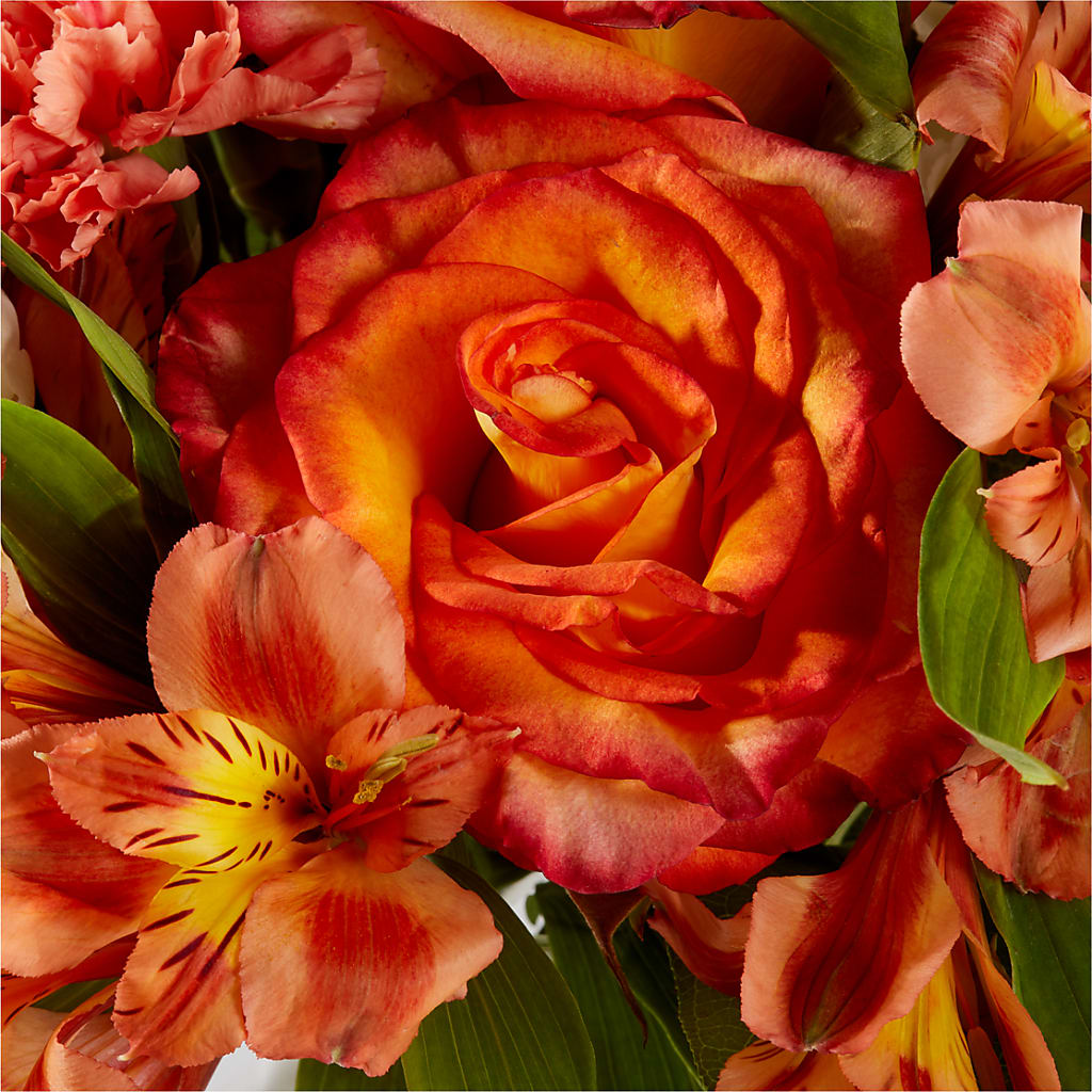 Apricot Glow Bouquet –  Jazmin Flowers, Chicago IL