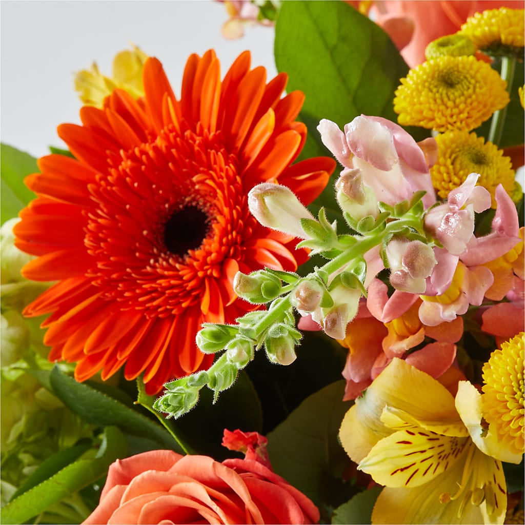 Autumn Sunshine Bouquet –  Jazmin Flowers, Chicago IL