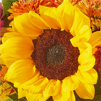 Sunny Side Bouquet –  Jazmin Flowers, Chicago IL