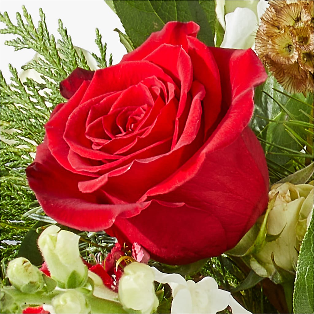 Deck the Halls Bouquet –  Jazmin Flowers, Chicago IL