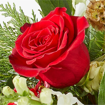 Deck the Halls Bouquet –  Jazmin Flowers, Chicago IL