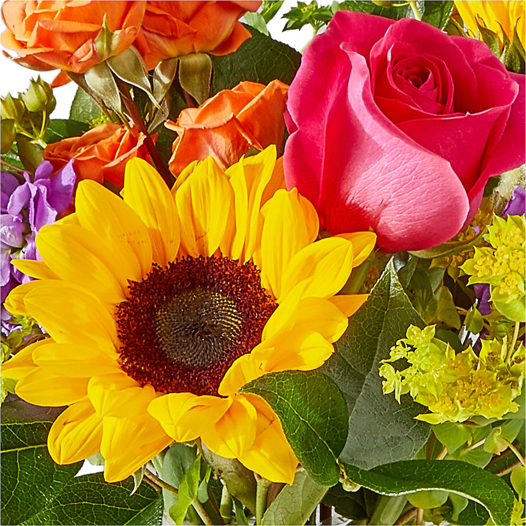 Vibrant Greetings Bouquet –  Jazmin Flowers, Chicago IL