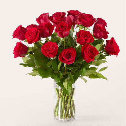 The One Red Rose Bouquet –  Jazmin Flowers, Chicago IL