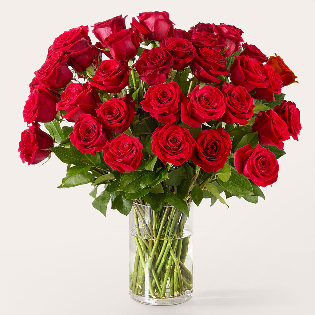 The One Red Rose Bouquet –  Jazmin Flowers, Chicago IL
