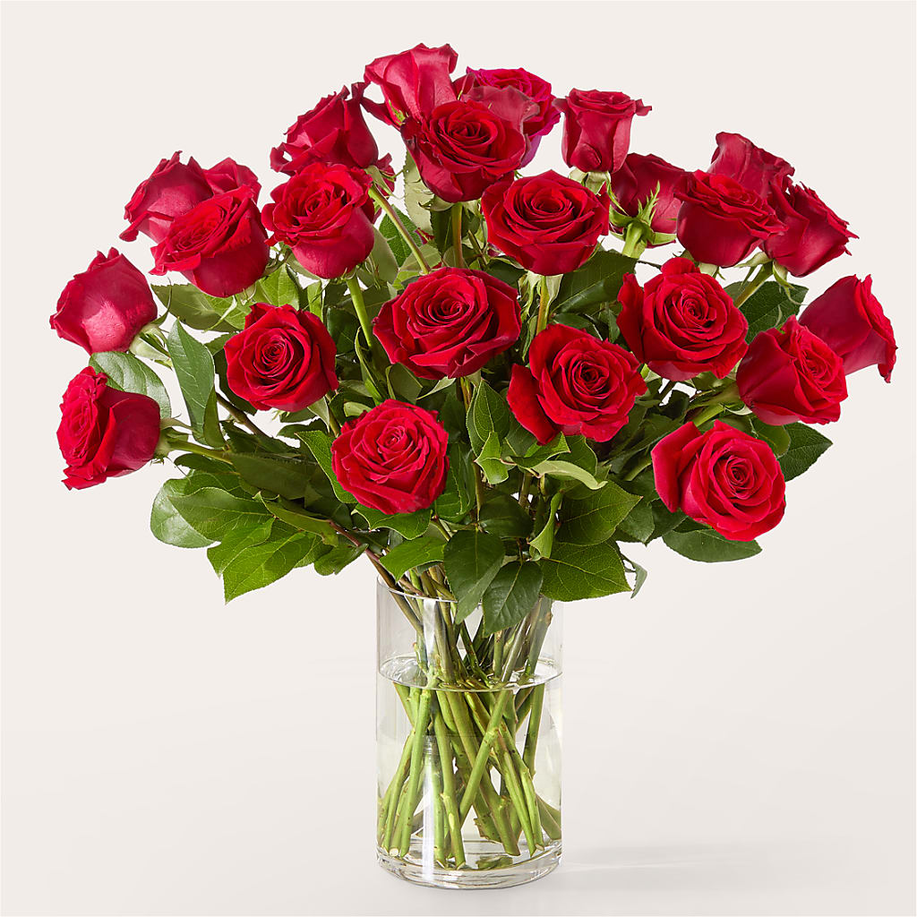 The One Red Rose Bouquet –  Jazmin Flowers, Chicago IL